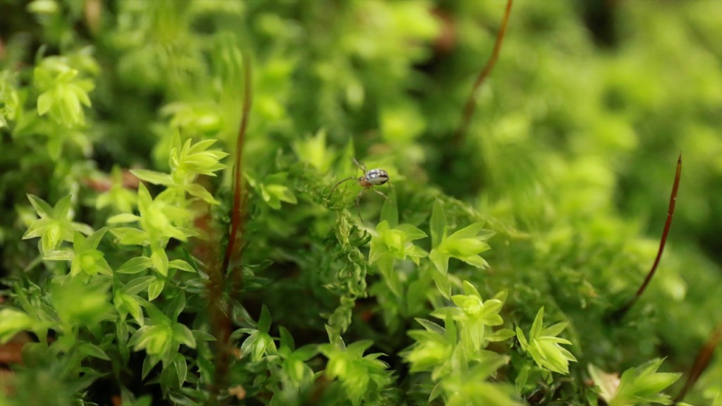 150424_040 のコピー_Fotor