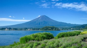 060729_001 (1) のコピー