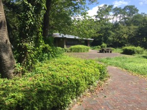 猪乃頭公園外観